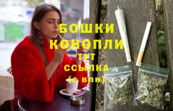 крисы Нефтегорск