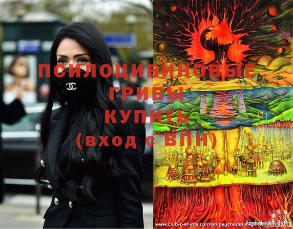 марки lsd Нефтекумск