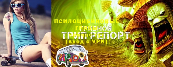 крисы Нефтегорск