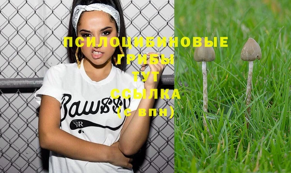 крисы Нефтегорск