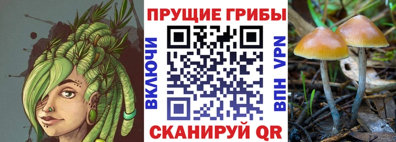 kraken ССЫЛКА Октябрьский Галлюциногенные грибы ЛСД